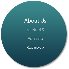 Aquasap About Us button link image